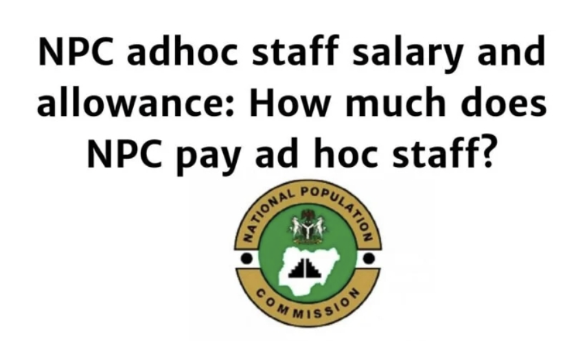 NPC adhoc staff salary and allowance: NPC Revealed How much does NPC pay adhoc staff?